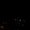 DSC03261