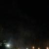 DSC03727