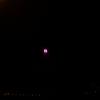DSC01831