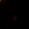 DSC01918