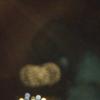 2024-08-01 20.31.52