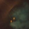 2024-08-01 20.54.04