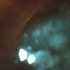 2024-08-01 20.54.14