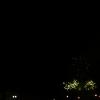 DSC02401