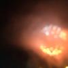 2024-08-17 20.17.44