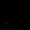 DSC07841