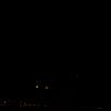 DSC07905