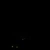 DSC08026
