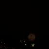 DSC08774