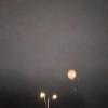 2026-08-01 20.29.11-1